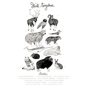 "Stick Together" (Arctic) Print